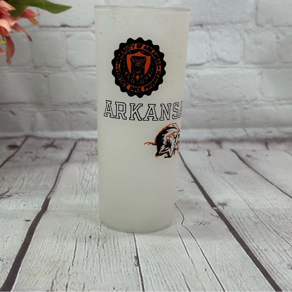 vintage Arkansas razorback Frosted Tumbler fandom collegiate football university